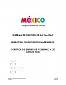 SISTEMA DE GESTION DE LA CALIDAD DIRECCION DE RECURSOS MATERIALES