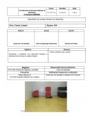 Supervisor de Sanidad e Inspector de Procesos