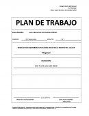 PLAN DE TRABAJO ARTICULACIÓN (INTERRELACIÓN Y EQUILIBRIO DE LOS CAMPOS FORMATIVOS)