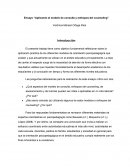 Ensayo “Aplicando el modelo de consulta y enfoques del counseling”