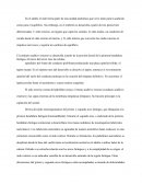 Embriologia oido externo