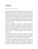 Cumbre del Milenio Nicaragua