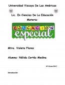 La educación especial y los alumnos con necesidades educativas