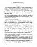 La alimentación saludable ¿Qué nos parece que es comer saludable?