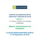 Ensayo. Gestión en la empresa hospitalaria