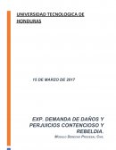 ANÁLISIS DE DEMANDA DE DAÑOS Y PERJUICIOS CONTENCIOSO Y REBELDIA