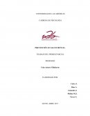 PREVENCIÓN EN SALUD MENTAL. TRABAJO DEL PRIMER PARCIAL