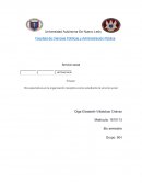 Mis expectativas en la organización receptora como estudiante de servicio social