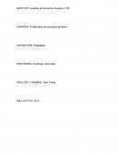 Instituto de formación docente n°155