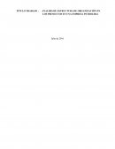 Analisis de estructura de organización en los proyectos en una empresa petrolera