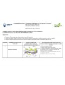 ORGANIZACIÓN DE LA CÉLULA