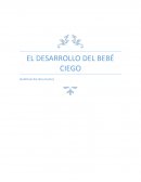 El desarrollo del bebé ciego
