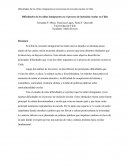 Dificultades de los niños inmigrantes en el proceso de inclusión escolar en Chile