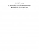 Proyecto final INTRODUCCIÓN A LOS PROCESOS INDUSTRIALES