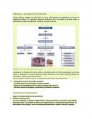 Métodos y equipos de perforación