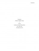 PROYECTO DE CIENCIA - FOTOSINTESIS