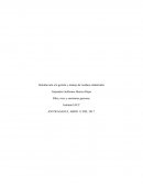 Introducción a la gestión y manejo de residuos industriales Riles, rises y emisiones gaseosas