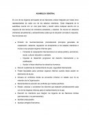 CUAL ES LA ASAMBLEA GENERAL