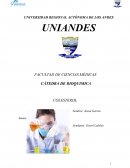 CONCEPTOS DE LA UNIVERSIDAD REGIONAL AUTÓNOMA DE LOS ANDES