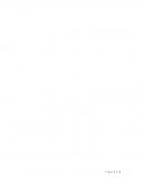 El caucho es un producto vegetal procesado que se obtiene de la savia de varios centenares de especies de árboles y plantas existentes en distintas partes del mundo