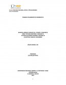 TRABAJO COLABORATIVO MOMENTO 0