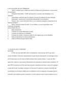 Consumo de comida dañina para la salud
