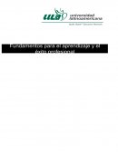 Resolución de problemas y ortografía: Aplicando el método ideal