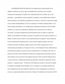 Las Organizaciones internacionales constituyen uno de los signos de identidad más característico de la sociedad internacional contemporánea