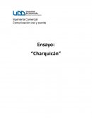 Ensayo “Charquicán”