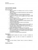 CASO SOUTHWEST AIRLINES: