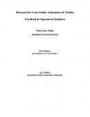 RESUMEN DE INVESTIGACION DESARROLLO SUSTENTABLE