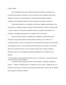 La Competencia monopolística