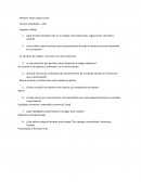 Adidas Estadística – UNT