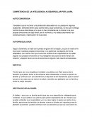 Competencia de la IE