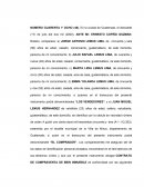 Acta notarial de nombramiento de Gerente General