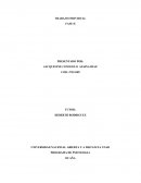 TRABAJO INDIVIDUAL PROGRAMA DE PSICOLOGIA