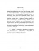 FENOMENOS DE LA NATURALEZA - LA LLUVIA