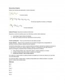 Nomenclatura Orgánica - Activbidad de quimica