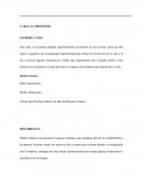CARTA AL PROFESOR