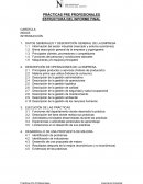 PRÁCTICAS PRE PROFESIONALES ESTRUCTURA DEL INFORME FINAL