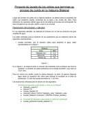 Informe proyecto lavado Bilateral