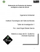 Elaboración de Productos de limpieza ecológicos a base de cítricos