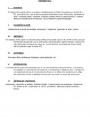 Informe final 2 electricos 2