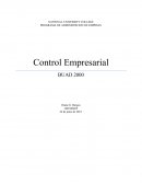 Como ejercer el control en la empresa