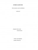 Calor de reacción y calor de solidificación