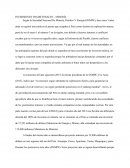 INVERSIONES TRADICIONALES – MINERÍA