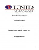 Los Riesgos Económico – Financieros que enfrenta México