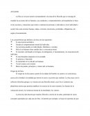 Analisis de la etica