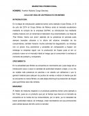 Ciclo de vida del producto Ensayo