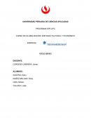 Como se da el Enfoque Global y Economico, Empresa Transmeridian